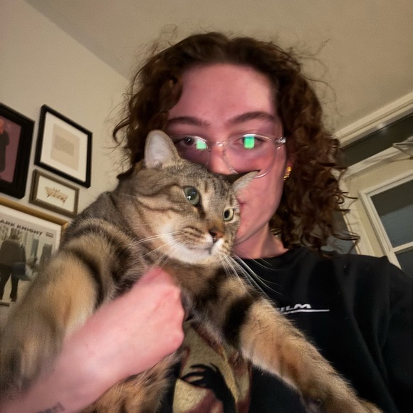 piperlaurens